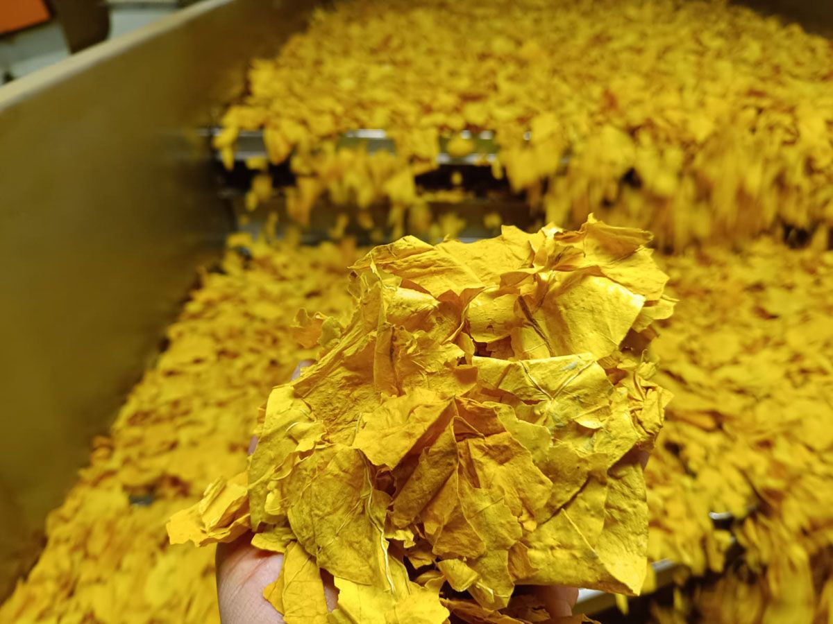 Tobacco Of Poland - Our company